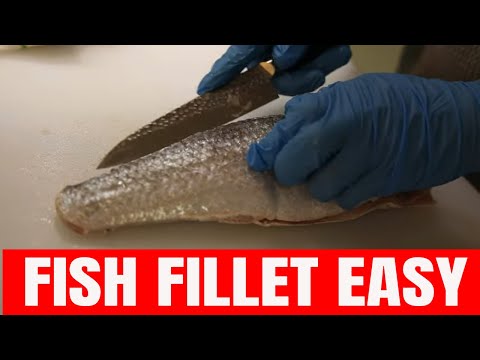 מתכון דג מטוגן מדהים מתכון מרק דגים עם ניחוח אסיאתי