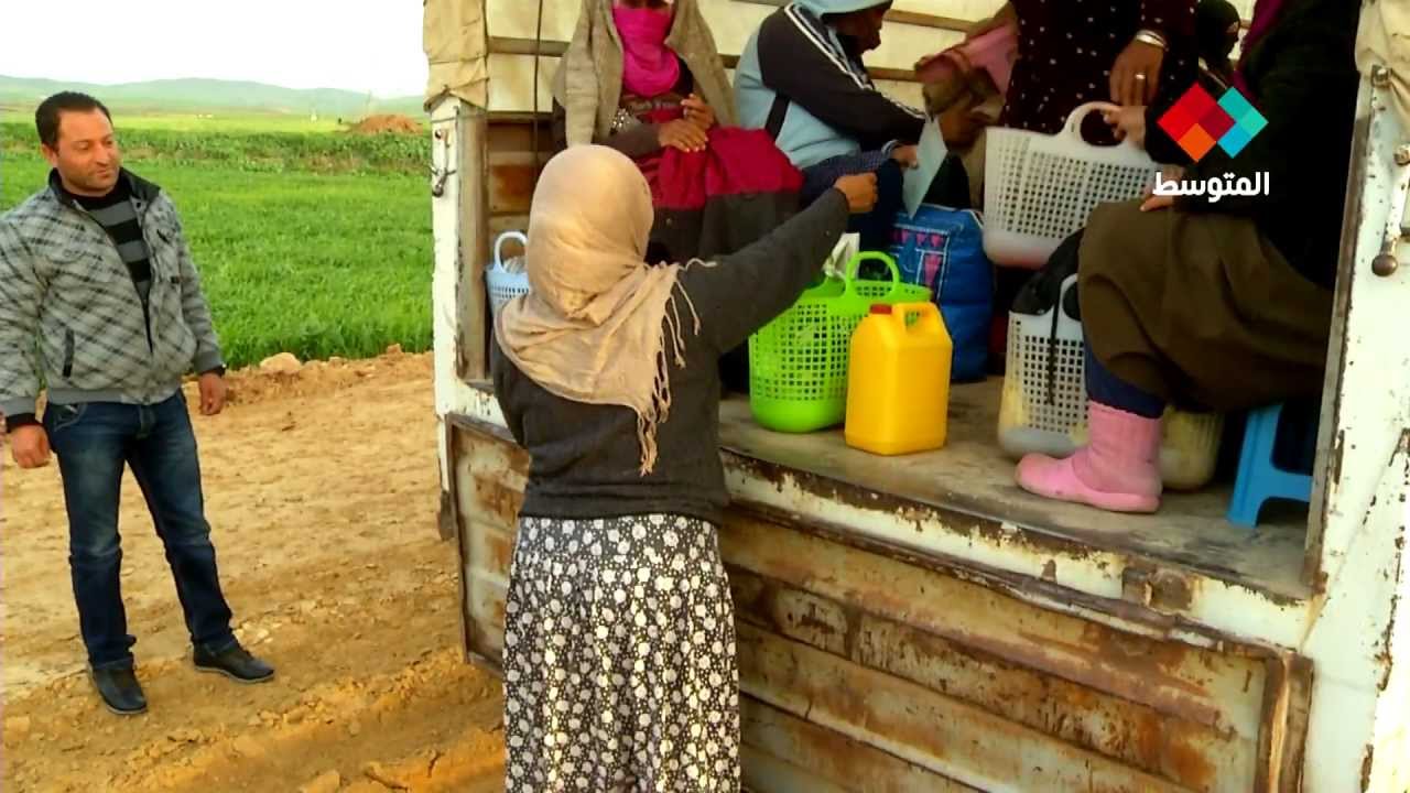 وضعية مأساوية لظروف عمل المرأة الفلاحة