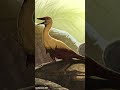 What Is The Smallest Dinosaur?