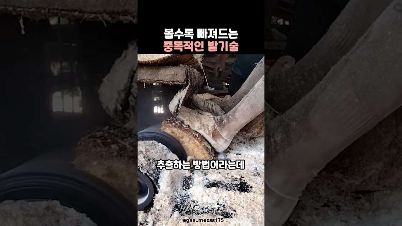 볼수록 빠져드는 중독적인 발기술