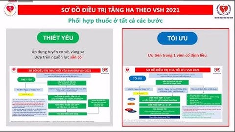 Cập nhật các vấn đề tim mạch chuyển hóa thường gặp trong thực hành lâm sàng