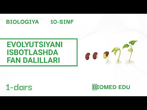 Video: Embriologiya evolyutsiyani qanday isbotlaydi?