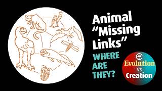 6 Animal "Missing Links"   Where Are They?   HD 720p