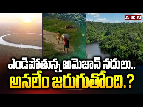 ఎండిపోతున్న అమెజాన్ నదులు.. అసలేం జరుగుతోంది.? | Why Amazon Rainforest Drying out.? - ABNTELUGUTV