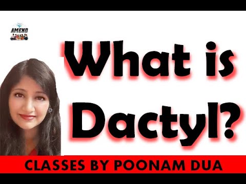 Video: What Is Dactyl