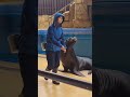Xpark Taiwan Sea Lion Show 🦭 Part 1