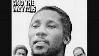 Toots & The Maytals - In The Dark chords