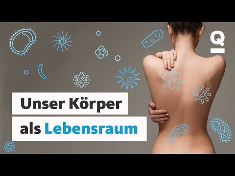 Video: Wo leben Parasiten im menschlichen Körper?