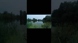 Рыбалка на рассвете.#рыбалка #рыбалканапоплавок  #fishing
