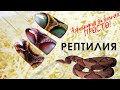 Рептилия Аэрографом. АЭРОГРАФИЯ НА НОГТЯХ ПРОСТО! Дизайн ногтей аэрографом