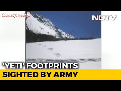 'Yeti' footprints sighted, claims Indian Army tweet