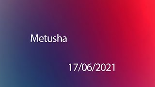 Обзор советника Metusha