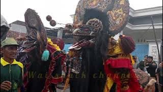 singo barong suko budoyo live kuwik bareng