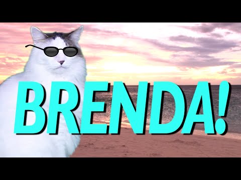 happy-birthday-brenda!---epic-cat-happy-birthday-song