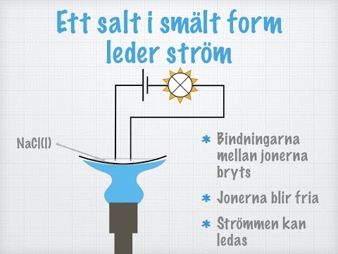 Video: Användbara Egenskaper Hos Shiitakesvamp