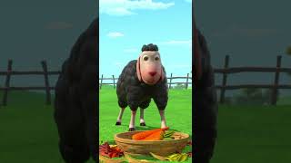 Baba Black Sheep #shorts #nurseryrhymes #babablacksheep