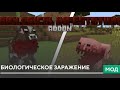 BIOLOGICAL INFESTATION ADDON БИОЛОГИЧЕСКОЕ ЗАРАЖЕНИЕ МОД(ОБЗОР)