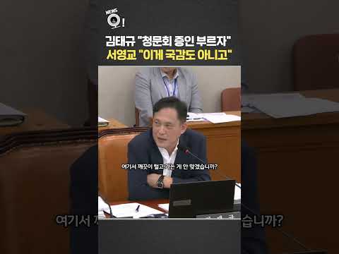 김태규 "청문회 증인 부르자"…서영교 "이게 국감도 아니고"