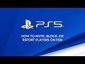 PS5 - Mute, Block, or Report Players on PSN