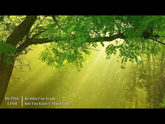 DƯỠNG LINH - Ba Điều Cần Tránh Khi Tìm Kiếm Ý Muốn Chúa