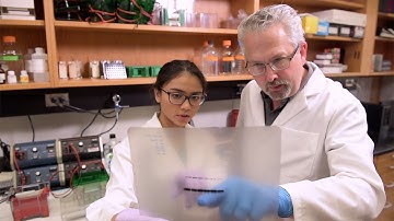 Immunology Course Curriculum: What Will I Study as an Immunology Major?