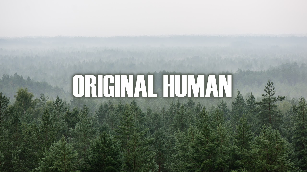 OriginalHuman Live Stream
