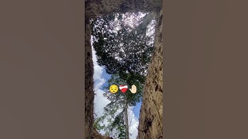 #ياسر_الدوسري #سورة_المؤمنون #قرآن ❤️‍🩹😔🤚🏻