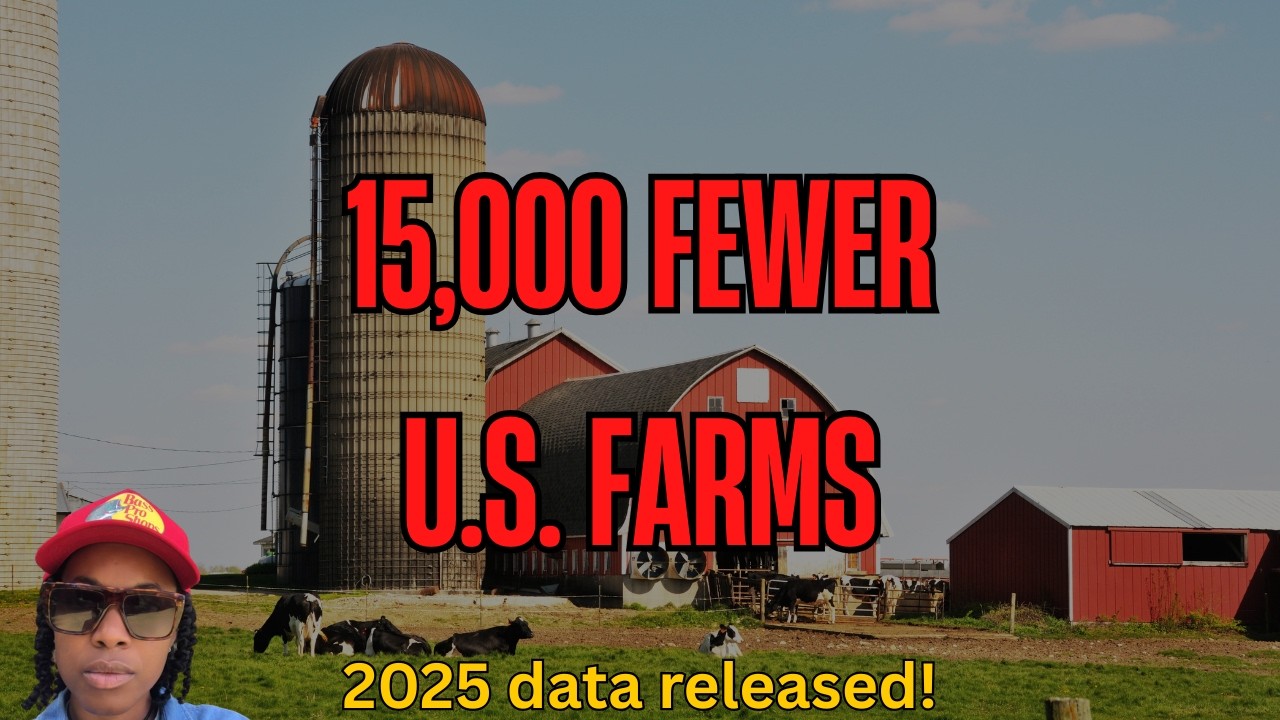 15,000 U.S. Farms Gone in One Year | What Happens to Food Security Now ...