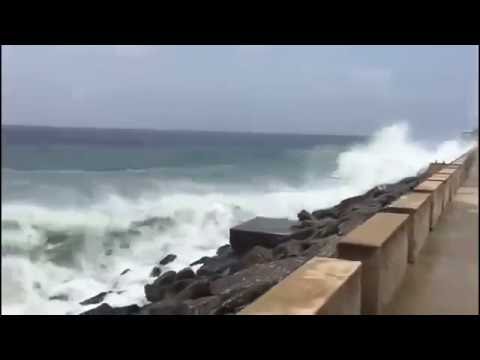 სამხრეთ კორეაში ტაიფუნს შვიდი ადამიანი ემსხვერპლა