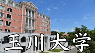 【玉川大学は恥ずかしい？】Fラン？やばい？偏差値・就職実績・評判など