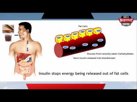 How fat loss works in your body - the suprising truth