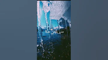 مديريليش هاكا عمري راني نتمونكا Tik Tok Tiktok 2ksubscribers Shorts Shortvideo 