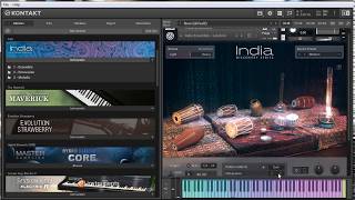 Native Instruments - Discovery Series India