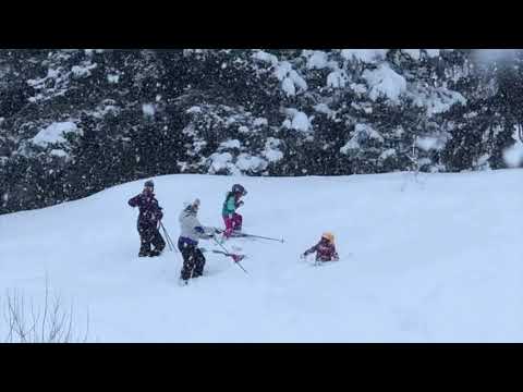 Powder Scouts