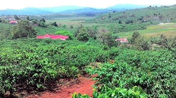 Khám phá vùng Tân Châu Di Linh