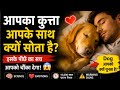 आपका कुत्ता आपके साथ क्यों सोता है? इसके पीछे का विज्ञान आपको चौंका देगा! 🐶❤️