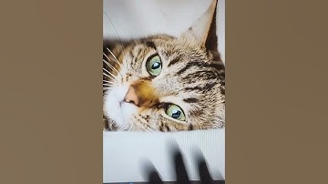 Solve Wise Trading Address Problem | (PART 1 OF 7)