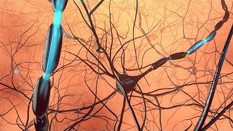 360° VR animation | 360 Neurons