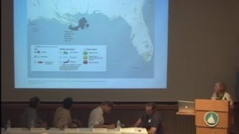 WHOI in the Gulf of Mexico