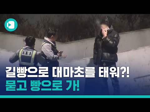 길 위에서 대마 말아 피우면 어떻게 된다 다 찍힌다 비디오머그 