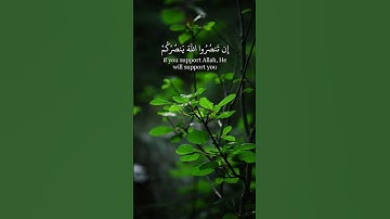 يَا أَيُّهَا الَّذِينَ آمَنُوا إِن تَنصُرُوا اللهَ يَنصُرْكُمْ | قرآن بصوت القارئ سعد الغامدي