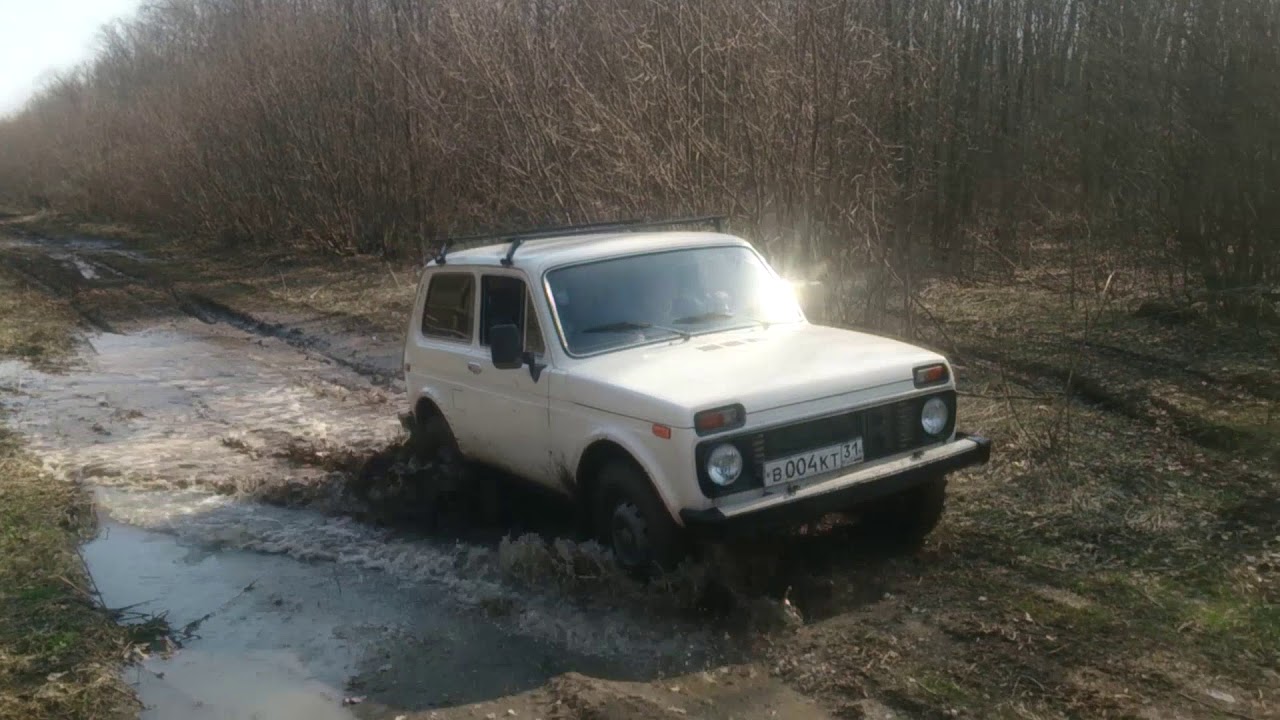 Вли 5 на ниву