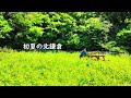 【4K】初夏の北鎌倉