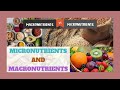 Macronutrients  micronutrients