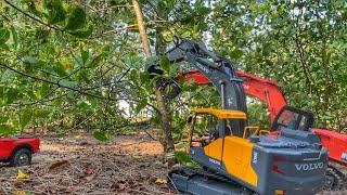 Story Line : RC Excavator Huina 1593 & Volvo, Bulldozer Cut Tree In Jungle