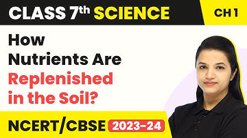 How Nutrients Are Replenished in the Soil? - Nutrition in Plants | Class 7 Science Chapter 1