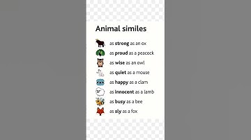 Thumbnail of #Animal similes with examples//Vocabulary words@thesolution2123