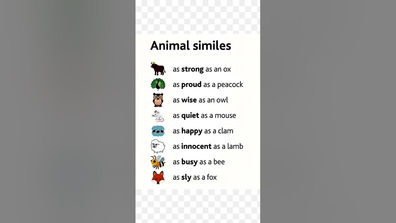 #Animal similes with examples//Vocabulary words@thesolution2123