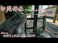 【田間神社  #339】〜Tama Shrine〜【SONY α7CⅡ+SEL1625G】