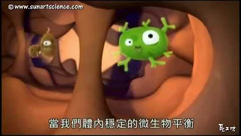 06 疾病 细菌和微生物 - 天天要闻